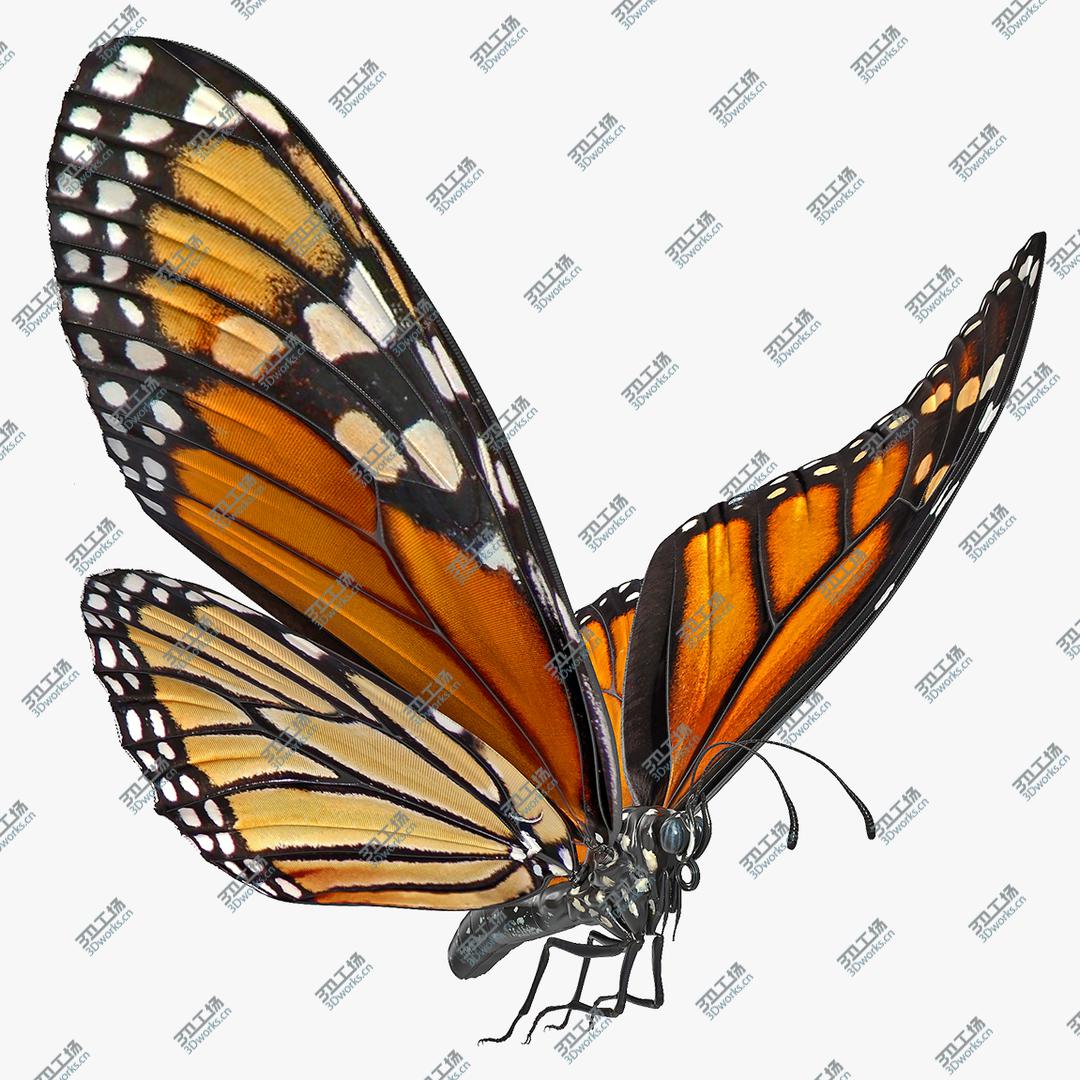 images/goods_img/202104094/Animated Flying Monarch Butterfly Rigged for Cinema 4D 3D model/1.jpg